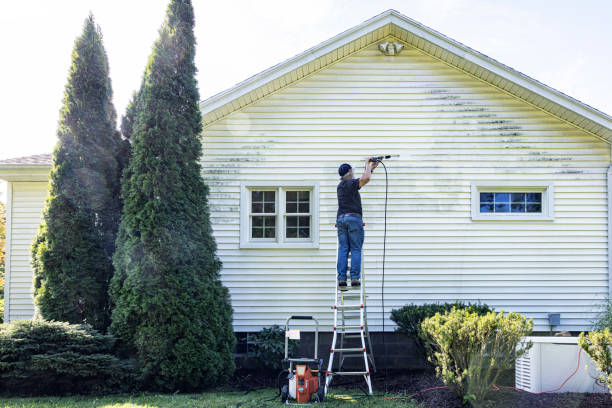 Best Fence Cleaning and Maintenance in Lake Delton, WI